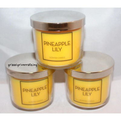 Lot of 3 Bath & Body Works Pineapple Lily 4 oz single wick jar candle   323397160300
